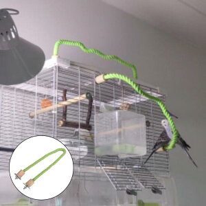 肵[v p[` IE g[jO P[Wx} Conures IJCR tB`