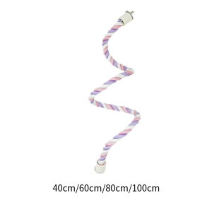 Ȃ̋Ȃ\ȃ[vp[`P[WX^h|[ANZT[̒̊ނł}R[fBẼpLGbgʏ̑傫̒