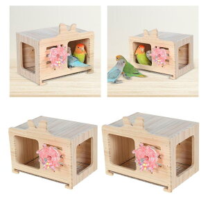 �o�[�h�n�E�X ���̑��� �e���r�^ �N���G�C�e�B�u ���� ��v�Ȗؐ� �o�[�h�n�E�X �C���R ���� ���u�o�[�h �t�B���` �Z�L�Z�C�C���R�p