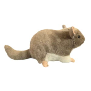 �_�炩���ʂ�����ݖ͋[�`���`�������q���̐Ԃ����̒a����