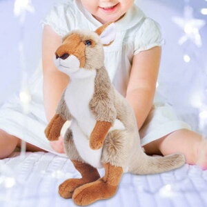 Jsô̑̒ȁ̎q̒j̎q̂߂̈炵킢쐶̎q , JK[