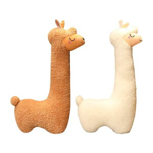 rʂ݃mxeBʂ݃pfBOApJl`Ƃ̑̂߂̂ʂ