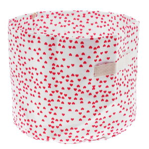 Ԃ̂̎[h[oXPbgobÕXg[WLoXobO