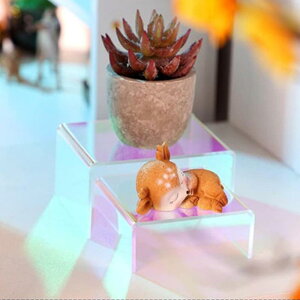 3s[XANfBXvCCU[fBXvCVFtϕiKltBMAp