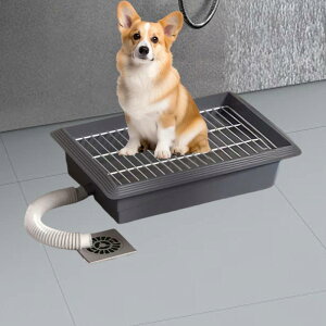 pgC |[^uybgpi vȕ֊ O\ȃR[i[t