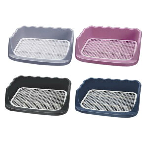 bVp g[jO pbh z_[ ڂh~  p gC