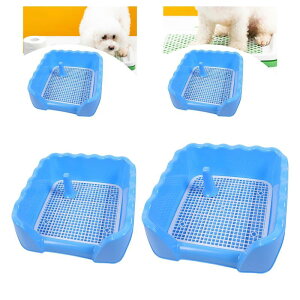 gCbVg[jOgC.Ə𐴌ɕۂ.O\ȌgCgC^pgCgC.p