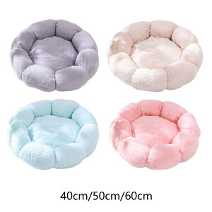 ^pxbh ybgxbh \t@ NbV ~ߒꌢ 􂦂qLp Ԍ^ \tg ybg lXeBO xbh ʂ NbV