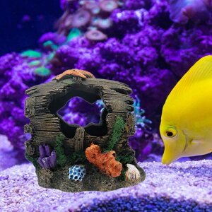 ق̑ق̉Bƃo̓A̔̌I