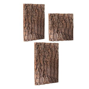 RNwin̑঒ޔwieEwiJNtgASqQgJQCOAip