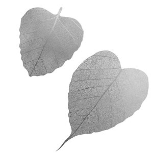 [teB[Xg[i[ tς̌`ėp\ȑ@\|[^ut@CbVeB[tB^[ rO[.XgX^fB[p