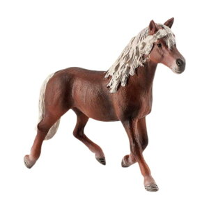 ntK[ n̑ ~j`AtBMA p[eB[fXNptBMA 