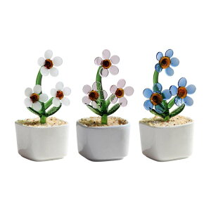 KX̉Ԃ̏lHAAĨ}`bNȃMtg̃Z^[s[Xe[ufR[VI̕׋̉̑