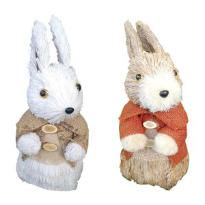 ETM̃I[igoj[u蒤MtgC[X^[̑Ő̉Ƃ̗peBI