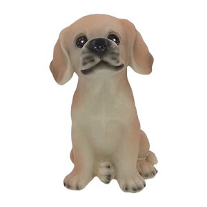 z[[he[û߂̉F̌̒ủƎMtgfXNgbv