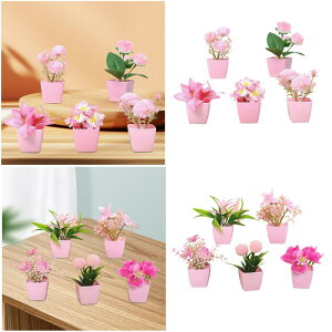 5x sN̐lH tFCNA ItBX Xg _Ɨp