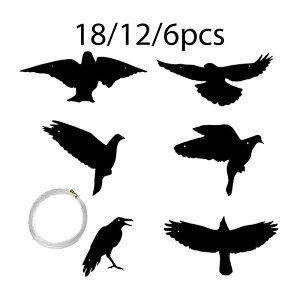 JX nEB JX ݂艺z[tBMA nEB  ^KX |[` a ~ Ǌ|Mtg