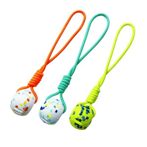 [v̌̃g[jO{[ [v̂ {[^̂J 𚐃g[jOp  ^O{[g ̃tFb`