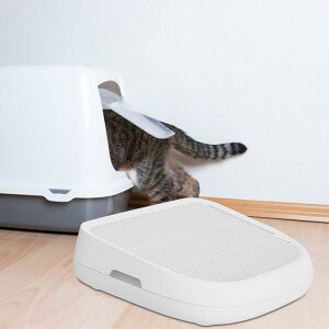 LpgCX[v LpgC}bg LpgCKi LpgCXebv L qL