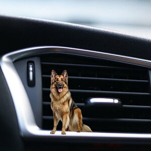 J[tOXxgNbvJ[ANZT[ԃCeȂ