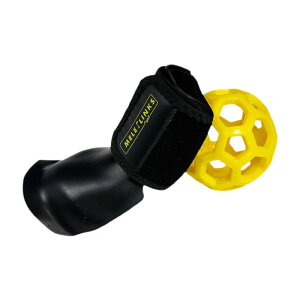 XCOACĝ߂̃StKc[.SҌ̃Xgg[i[