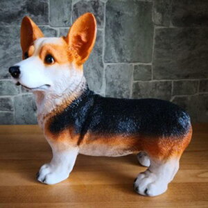 lHIȋU̓̃AȃR[M[̎q̑荕