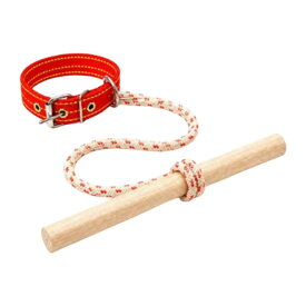 犬用追跡防止補助歩行拘束具.噛みつき防止.日常使用向け.調節可能.丈夫なアクセサリー.軽量木製バー