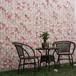 lHỏԂ̕ǃplʐ^vbvzCg&sN