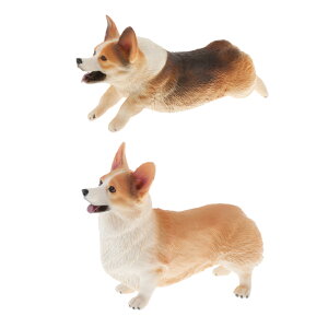 R[M[ f tBMA͌^ V~[V u CeA 2