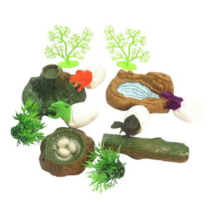 ̗̂tBMA ANeBreBc[t En鋳pvCZbg qւ̃v[gɍœK