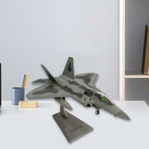  1/100 F22 s@ _CLXgf 퓬@f {I o[ z[p