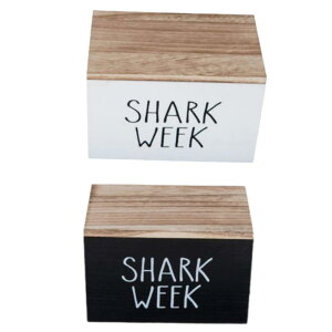 p^|z_[.^|[ ؐ Wt ivLz_[ p ^|I[KiCU[ pbhI[KiCU[