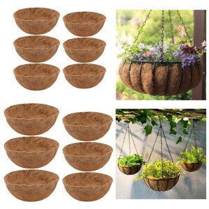 v^[pCi[.3s[X/AؔCi[nMOoXPbgp[Ci[