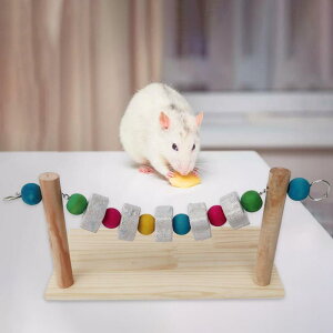 Bites ނP[WANZT[``bgpX^h