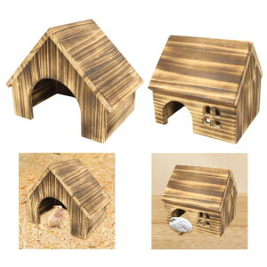 ؐ̃nX^[nEXEbhybg̐nBꋟ̉BƃnEXP[WANZT[``