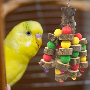 RSECRp^IEߋVRؑ^𚐊ߋ