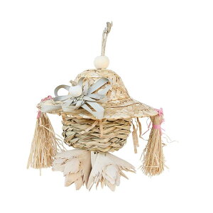 ̖̂ؐ̃Mtgg[jOconure Finches Budgie ɓKp Conurê߂̂Ԃ牺Ă邨