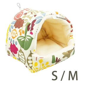 gIEP[WA`P[W؂ȐxbhegnbNnMOno[hIERSECR