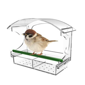 ̉aANZT[ ό zՕt ݂艺 ̒ ̒D qp