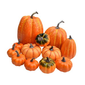 �I�����W�H�l�H�J�{�`�������������O����12��