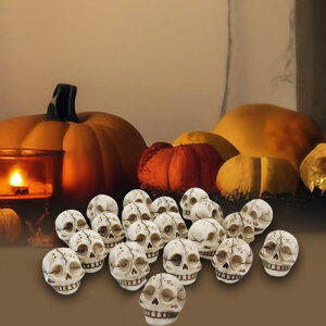 nEB XPgwbh ~jtBMA 20Zbg fXNgbvI[ig