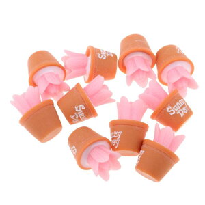 101/6h[nEX~j`AT{ediyd̒̑H|sN