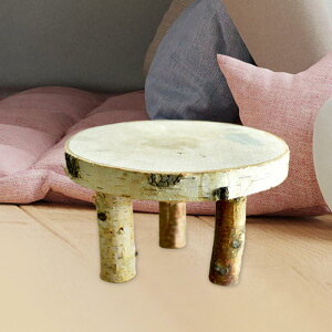 ؐX^h ؐWG[z_[ Ɠdi fpŏvȃI[KiCU[ ؐX^h fBXvCXc[ JbvP[Lp t[|bg z[AEghA