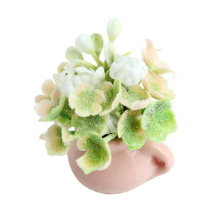 ԃf h[nEX A 1/12 ȃO[