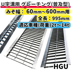 グレーチング U字溝用 溝蓋 みぞ幅60mm～600mm用 長さ995mm 【日祝配達不可・時間指定不可】 側溝 歩道 溝 蓋 ふた 〈grating：グレーチング〉 HGU