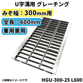 グレーチング U字溝用 溝蓋 みぞ幅300mm用 (乗用車) 長さ600mm 【代引き・日祝配達・時間指定不可】側溝 排水溝 溝ふた 溝蓋 溝 蓋 ふた 駐車場 ガレージ 〈grating：グレーチング〉 HGU-300-25 L600
