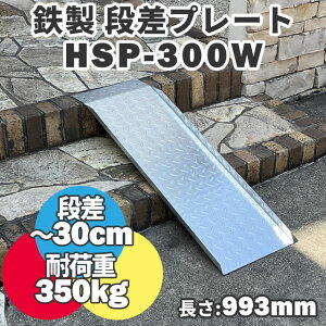 yz S iX[v 30cm܂ł̒ip L^Cv HSP-300W (993mm 300mm ω׏d500kg) X`[X[v iv[g iX[v Op S S ԏ d] ]