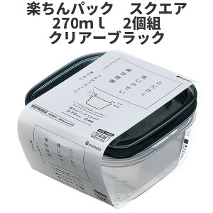 イノマタ化学 楽ちんパック スクエア270ml 2個組 ブラック 保存容器 プラスチック製密閉容器