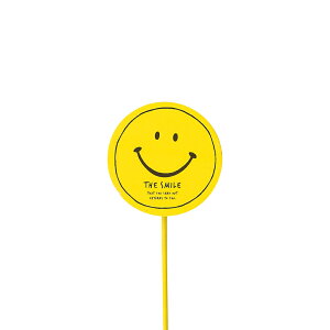 GRHyz X}CؐsbN@S@Nbvt@CG[@12Zbg ysz qkCEEEꕔn͕ʓr܂r 4290-B-YE