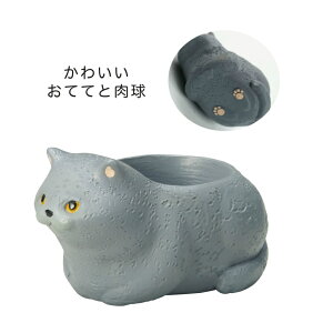 GRHyz gW|bg 났˂@ueBbVV[gwA@4Zbg ysz qkCEEEꕔn͕ʓr܂r 4902